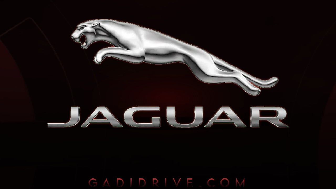 Download Jaguar Background
