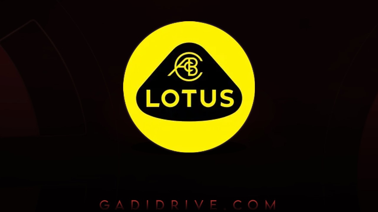 Download Lotus Background