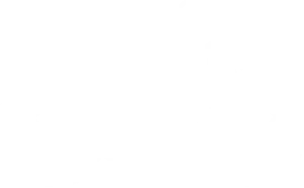 classic logo