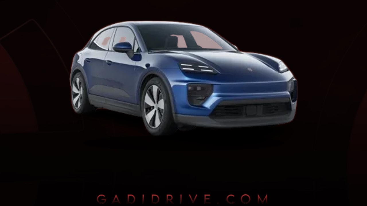 Download Macan Background