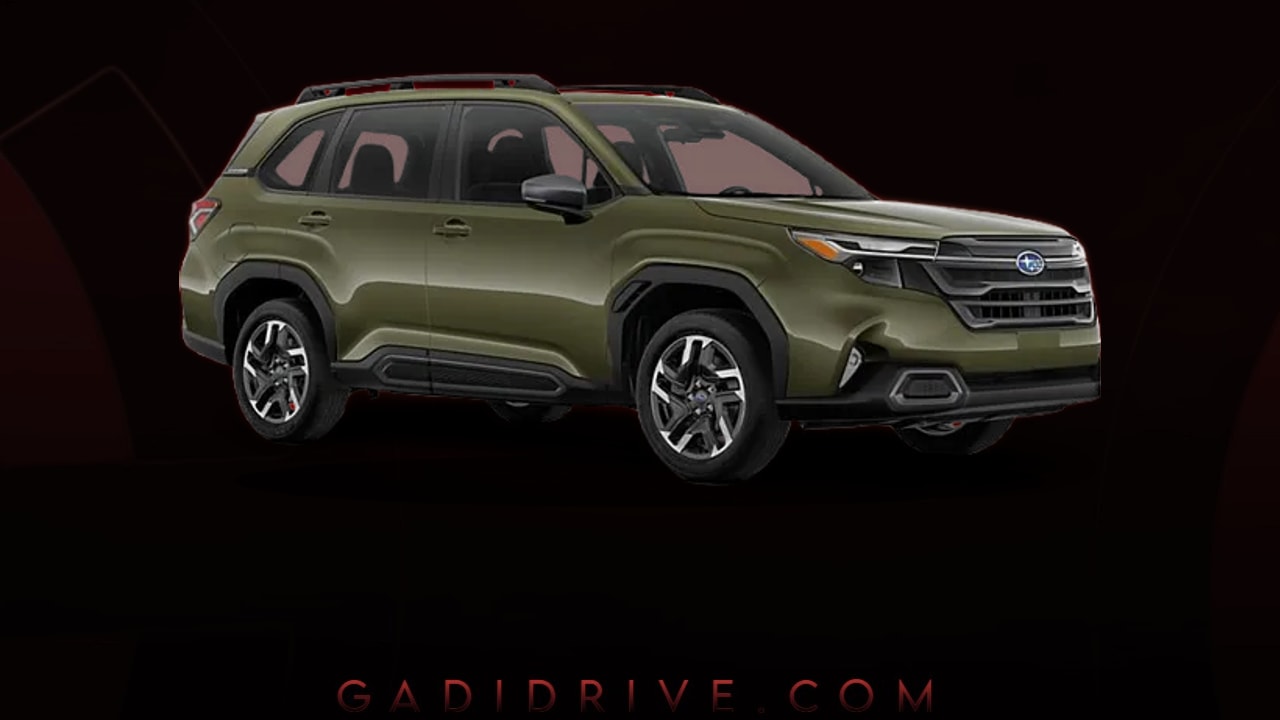 Download Forester Background