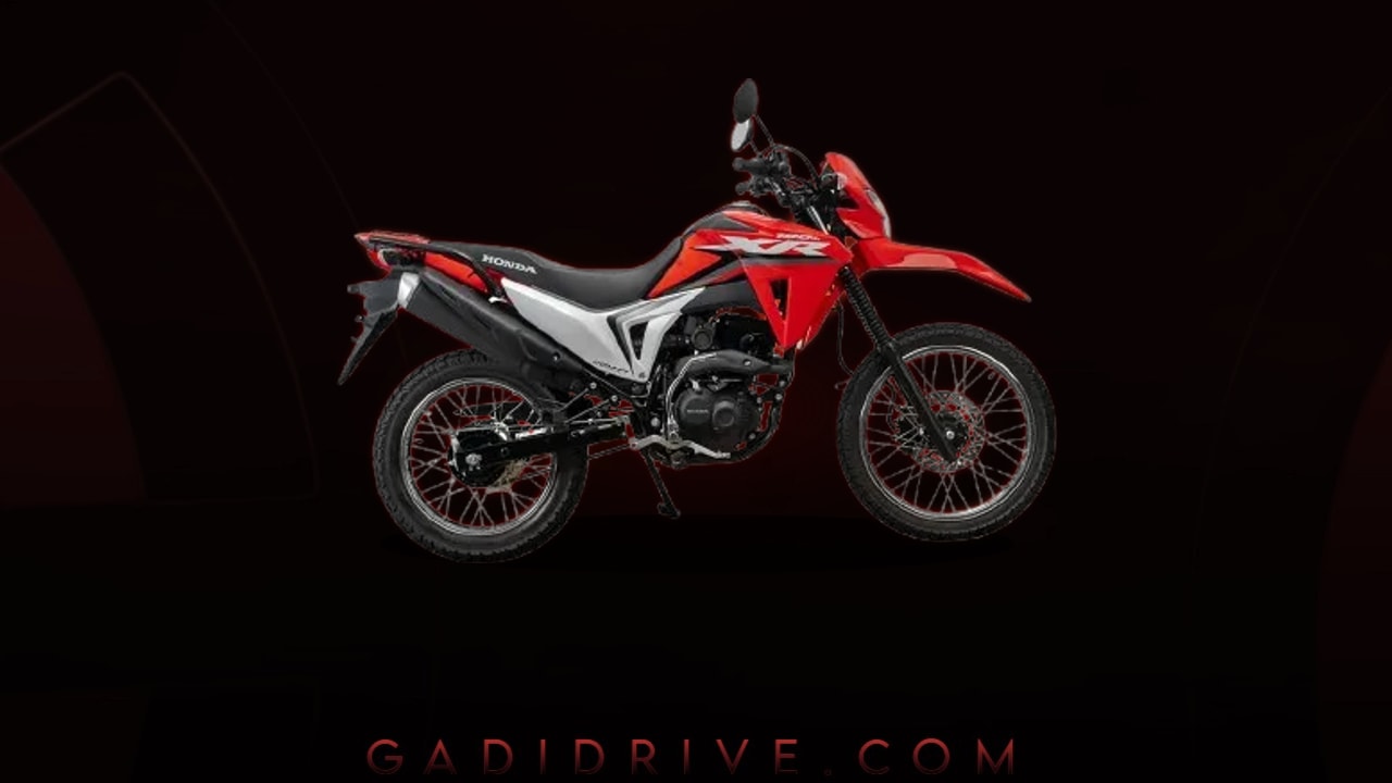 Download XR 190LS Background
