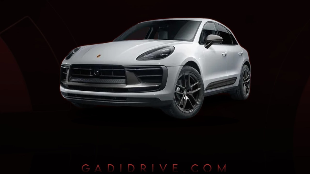Download Macan Background
