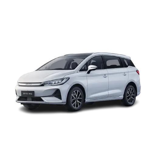 BYD M6